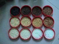 Thổi thêm nghị lực sống từ Tranh Gạo