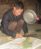 Kỳ 2: Thầy thuốc làng thời bình