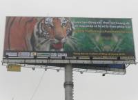 Đẩy mạnh cảnh báo về buôn lậu động vật hoang dã