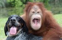 Friendship