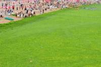 Nhà máy đầu tiên sản xuất nhiêu liệu từ tảo