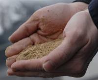 Sản xuất điện từ bã bia