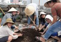 Học sống xanh ở đô thị