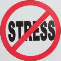 10 cách xả stress hiệu quả cao