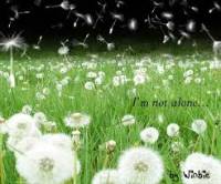 Cuộc đời có bao lâu... mà hững hờ