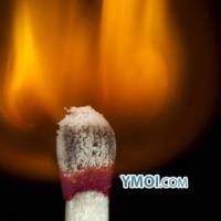 Sức Mạnh Của Tình Yêu Thương